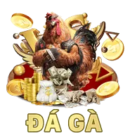 Hoàn trả cược hàng ngày